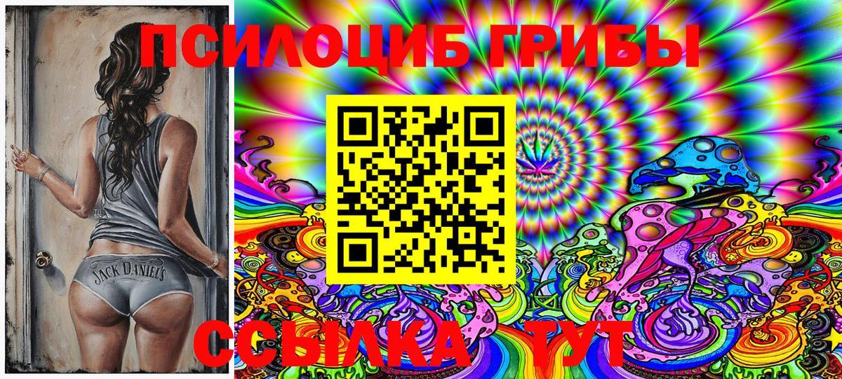 Псилоцибиновые грибы Psilocybe Миллерово